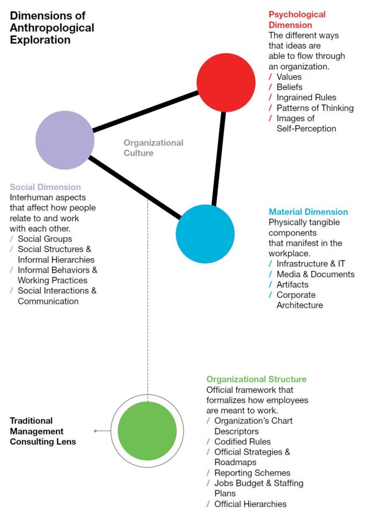 org culture model daniel mai
