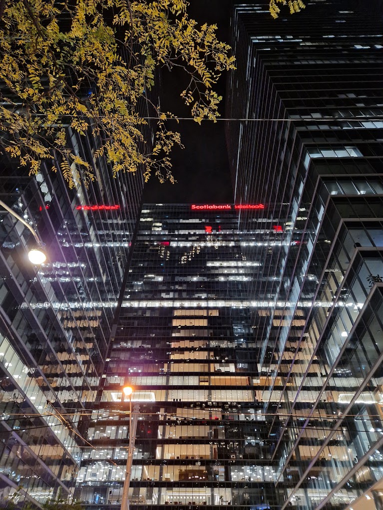 The Fidelity Paradox of an Organizational Digital Twin